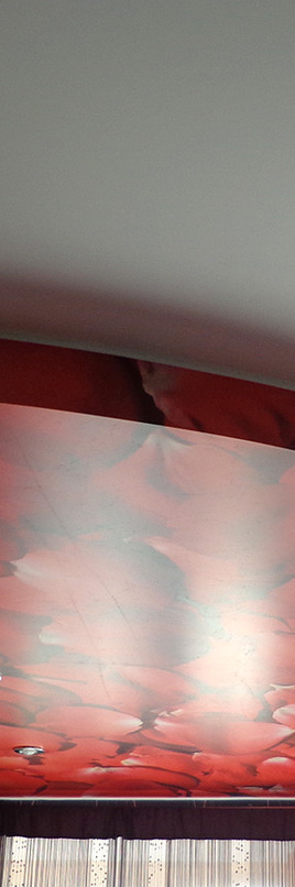 Фотопечать и два уровня. Натяжные потолки не дорого.